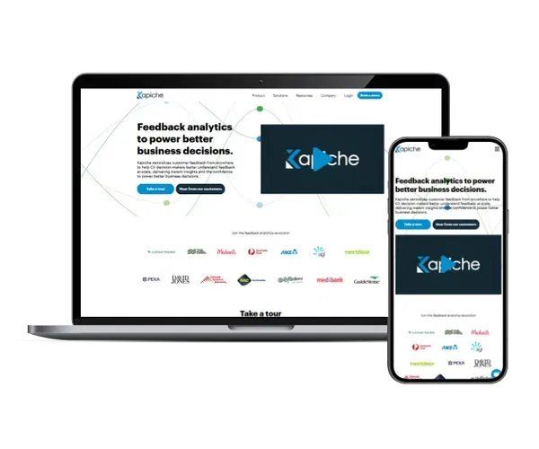 Kapiche platform screenshots